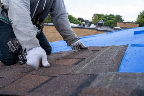 Best Metal Roofing Contractor  in Orion, IL
