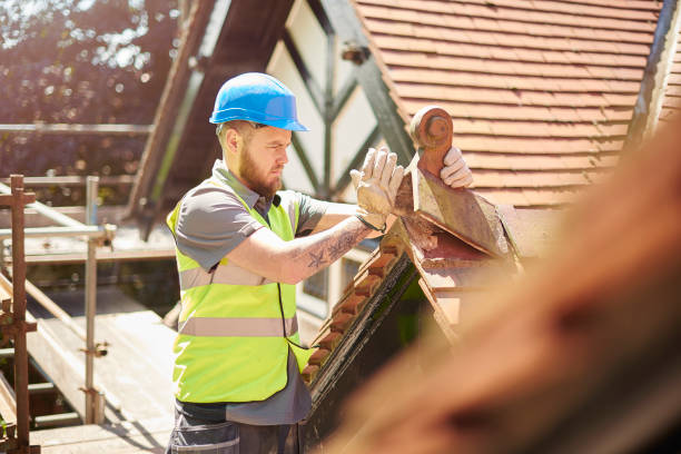 Best Roofing Contractors for Homes  in Orion, IL