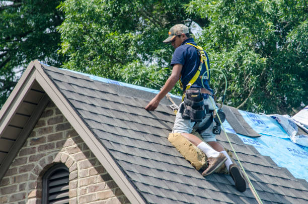 Best Roofing Contractor Near Me  in Orion, IL